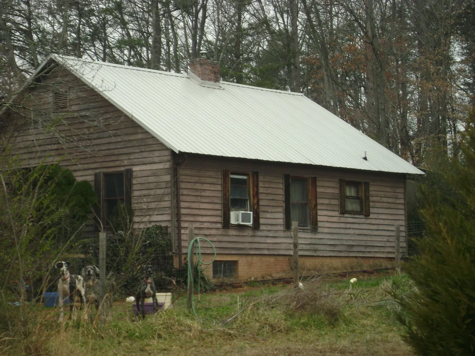 White metal roof on an old wood sided farmhouse, from a Metal Roof Installation job in Mead